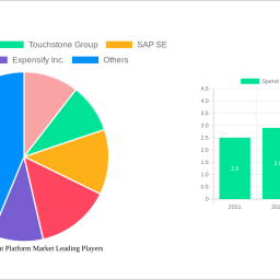 spend-management-platform-market-strategic-roadmap-analysis-and-forecasts-2024-2032