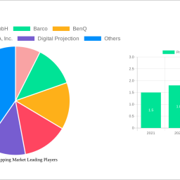 projection-mapping-market-analysis-2024-and-forecasts-2032-unveiling-growth-opportunities