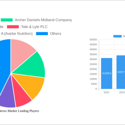 starch-derivatives-market-2024-2032-trends-and-competitor-dynamics-unlocking-growth-opportunities