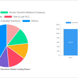 united-states-starch-derivatives-market-insightful-analysis-trends-competitor-dynamics-and-opportunities-2024-2032