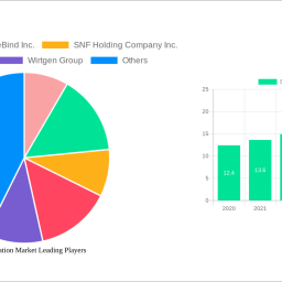 soil-stabilization-market-strategic-insights-analysis-2024-and-forecasts-2032