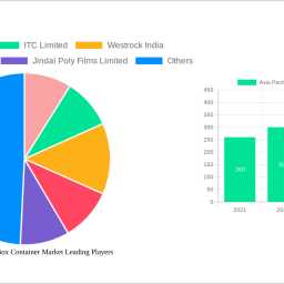 asia-pacific-bag-in-box-container-market-2024-trends-and-forecasts-2032-analyzing-growth-opportunities