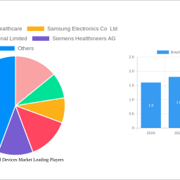brazil-ultrasound-devices-market-decade-long-trends-analysis-and-forecast-2024-2032
