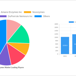 us-food-enzymes-market-strategic-roadmap-analysis-and-forecasts-2024-2032