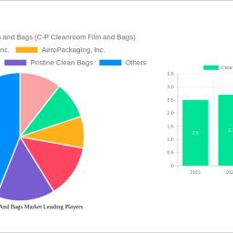 cleanroom-film-and-bags-market-decade-long-trends-analysis-and-forecast-2025-2033