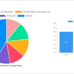 ultrapure-water-market-2025-trends-and-forecasts-2033-analyzing-growth-opportunities
