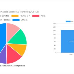 micro-perforated-films-market-future-proof-strategies-trends-competitor-dynamics-and-opportunities-2025-2033