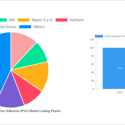 north-america-pressure-sensitive-adhesives-psa-market-future-proof-strategies-trends-competitor-dynamics-and-opportunities