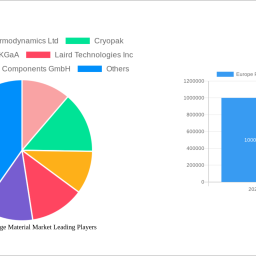 europe-phase-change-material-market-charting-growth-trajectories-analysis-and-forecasts-2025-2033