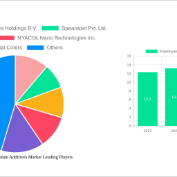 polyethylene-terephthalate-additives-market-strategic-insights-analysis-2025-and-forecasts-2033