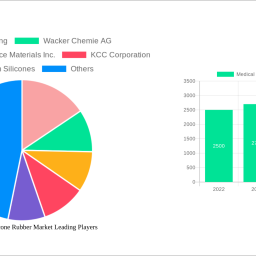 medical-grade-silicone-rubber-market-analysis-report-2025-market-to-grow-by-a-cagr-of-63-to-2033-driven-by-government-incenti