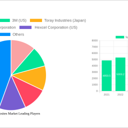 sports-composites-market-strategic-insights-analysis-2025-and-forecasts-2033