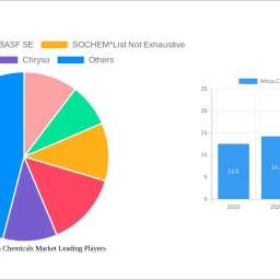 africa-construction-chemicals-market-report-probes-the-xx-million-size-share-growth-report-and-future-analysis-by-2033