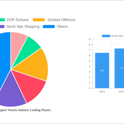 north-sea-offshore-support-vessels-industry-strategic-roadmap-analysis-and-forecasts-2025-2033