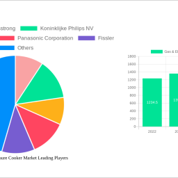 gas-electric-pressure-cooker-market-analysis-2025-and-forecasts-2033-unveiling-growth-opportunities