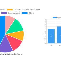 belarus-renewable-energy-market-1800-1800-cagr-growth-outlook-2025-2033