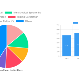 microcatheters-market-strategic-roadmap-analysis-and-forecasts-2025-2033