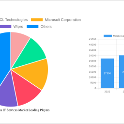 middle-east-and-africa-it-services-market-500-cagr-growth-outlook-2025-2030