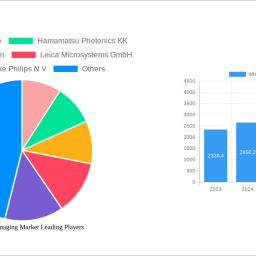 whole-slide-imaging-market-2025-trends-and-forecasts-2033-analyzing-growth-opportunities