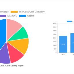 china-sports-drink-market-future-proof-strategies-trends-competitor-dynamics-and-opportunities-2025-2033