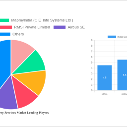 india-satellite-imagery-services-market-insightful-analysis-trends-competitor-dynamics-and-opportunities-2025-2033