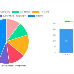 uae-respiratory-devices-market-strategic-insights-analysis-2025-and-forecasts-2033