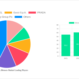 womens-shirts-blouses-market-strategic-roadmap-analysis-and-forecasts-2025-2033