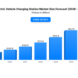 electric-vehicle-charging-station-market-4814b-305-cagr
