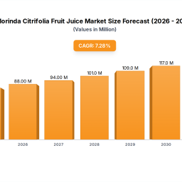 morinda-citrifolia-fruit-juice-market-trends-2033-projections