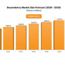 boysenberry-market-growth-analysis-segments-forecast