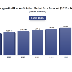 oxygen-purification-solution-2033-market-growth-trends