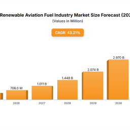 global-europe-renewable-aviation-fuel-industry-trends-region-specific-insights-2025-2033