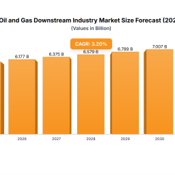 gabon-oil-and-gas-downstream-industry-markets-consumer-preferences-trends-and-analysis-2025-2033