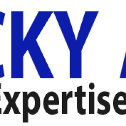 understanding-the-companion-industry-in-india-8211-cky-audit-amp-expertise-comptable