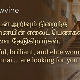 discover-omr-road-female-companionship-with-newvinevip-bibaz