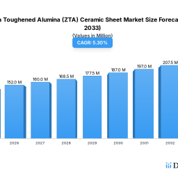 decoding-zirconia-toughened-alumina-zta-ceramic-sheet-consumer-preferences-2026-2034