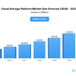 cloud-storage-platform-growth-213-cagr-market-share