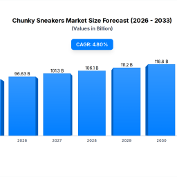 chunky-sneakers-market-drivers-size-2034-projections