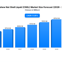 cnsl-market-dynamics-1136-cagr-propels-5117m-growth