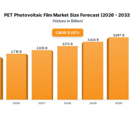 pet-photovoltaic-film-market-disruption-competitor-insights-and-trends-2025-2033