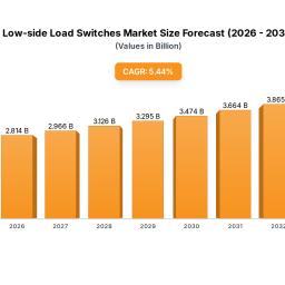 exploring-low-side-load-switches-growth-trajectories-cagr-insights-2025-2033