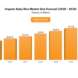 organic-baby-rice-market-evolution-cagr-1037-to-2033