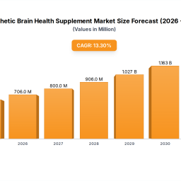 synthetic-brain-health-supplement-market-analysis-2025-2033