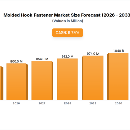 molded-hook-fastener-insightful-analysis-trends-competitor-dynamics-and-opportunities-2025-2033