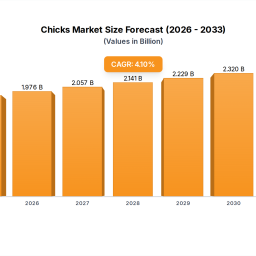 chicks-strategic-insights-analysis-2025-and-forecasts-2033