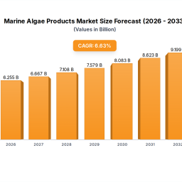 marine-algae-products-market-disruption-trends-and-insights