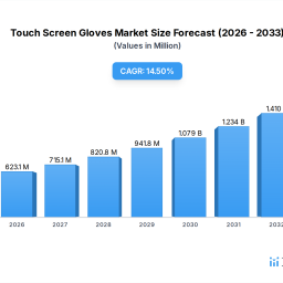 comprehensive-review-of-touch-screen-gloves-growth-potential