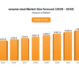 comprehensive-insights-into-sesame-meal-trends-and-growth-projections-2025-2033