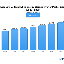 three-phase-low-voltage-hybrid-energy-storage-inverter-markets-consumer-insights-and-trends