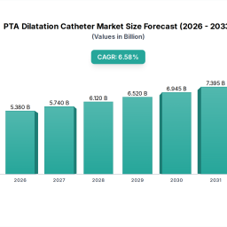 pta-dilatation-catheter-strategic-roadmap-analysis-and-forecasts-2026-2033